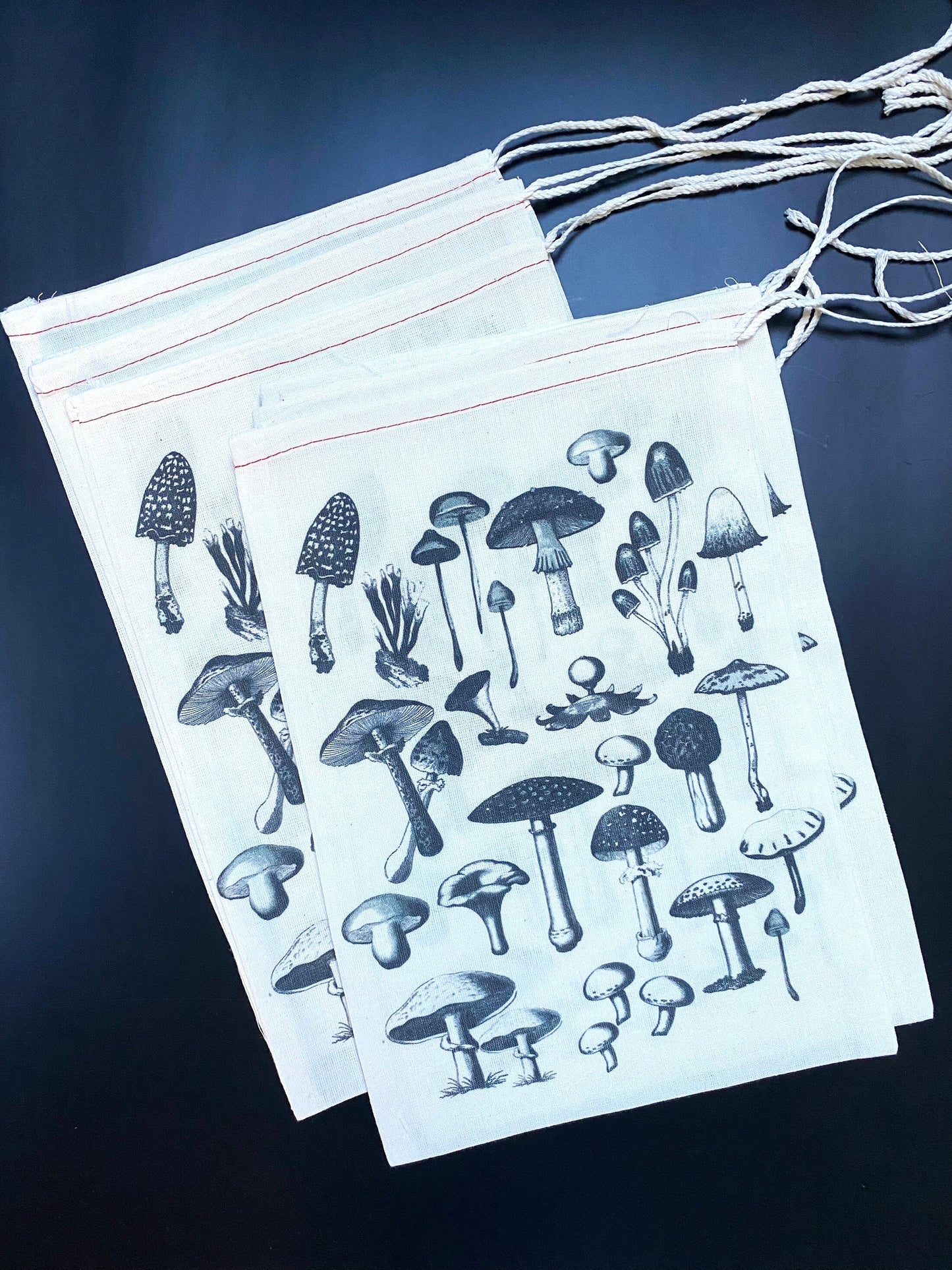 SET of FUNGI Gift Bags 8x12" - Mushrooms Collection Printed Drawstring Reusable Cotton muslin Bag birthday holiday gift sack
